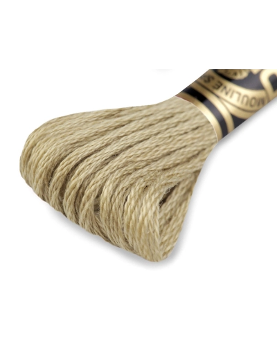 Vyšívací příze DMC Mouliné Spécial Cotton - 1 ks | Mimib