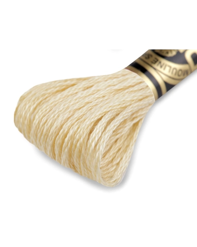 Vyšívací příze DMC Mouliné Spécial Cotton - 1 ks | Mimib