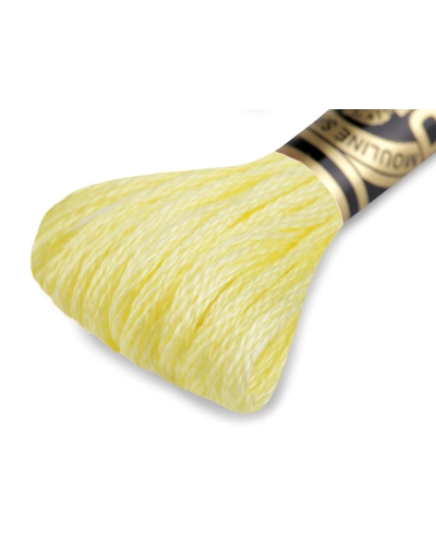 Vyšívací příze DMC Mouliné Spécial Cotton - 1 ks | Mimib