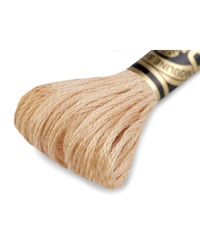 Vyšívací příze DMC Mouliné Spécial Cotton - 1 ks | Mimib