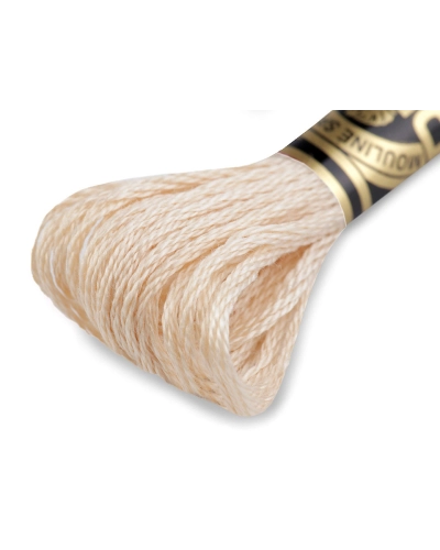 Vyšívací příze DMC Mouliné Spécial Cotton - 1 ks | Mimib