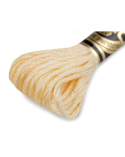 Vyšívací příze DMC Mouliné Spécial Cotton - 1 ks | Mimib