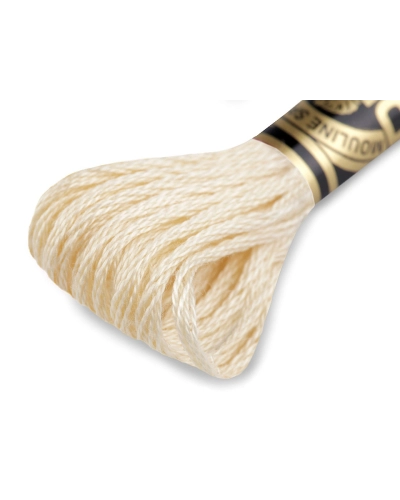 Vyšívací příze DMC Mouliné Spécial Cotton - 1 ks | Mimib