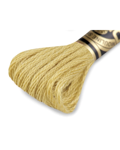 Vyšívací příze DMC Mouliné Spécial Cotton - 1 ks | Mimib