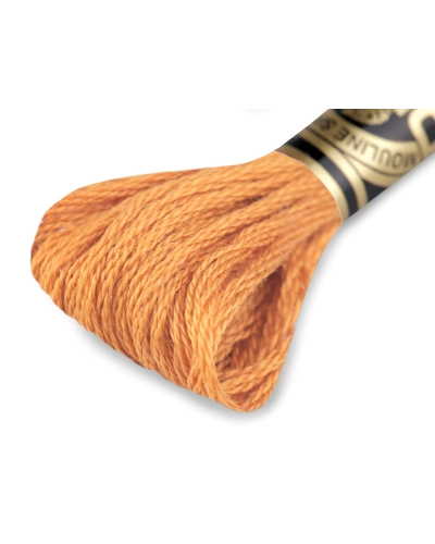 Vyšívací příze DMC Mouliné Spécial Cotton - 1 ks | Mimib