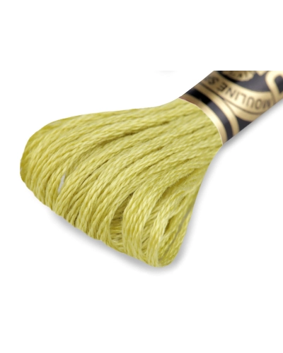 Vyšívací příze DMC Mouliné Spécial Cotton - 1 ks | Mimib