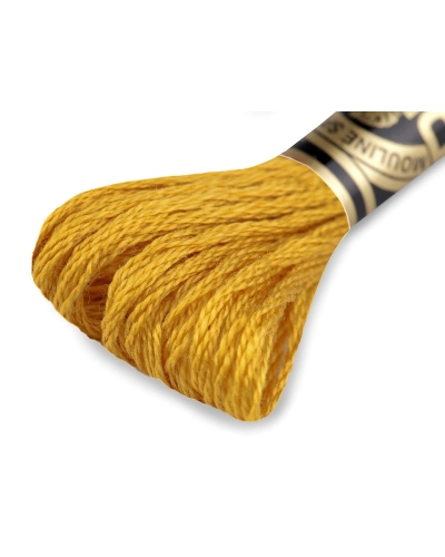Vyšívací příze DMC Mouliné Spécial Cotton - 1 ks | Mimib