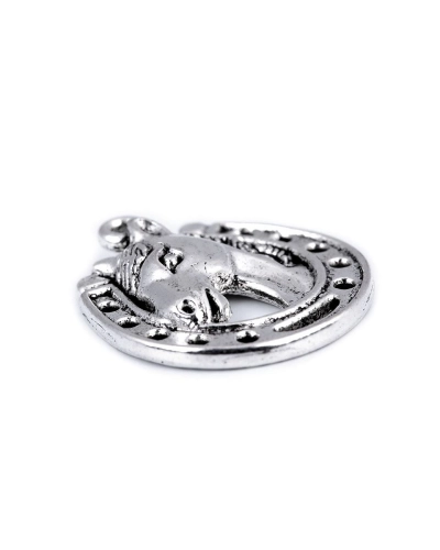 Přívěsek kůň s podkovou 18x21 mm - 5 ks | Mimib