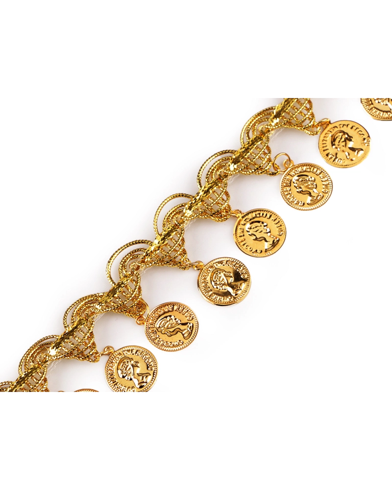 Shakira leónsky prámik s peniazmi šírka 38 mm - 13.5 m | Mimib
