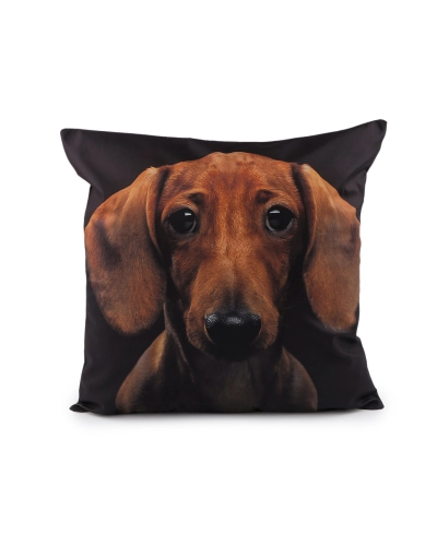 Sametový povlak na polštář pes, kočka 45x45 cm - 1 ks | Mimib