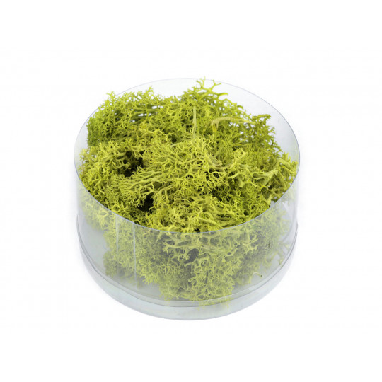 Stabilizovaný / preparovaný mech 20 g v krabičce | Mimib
