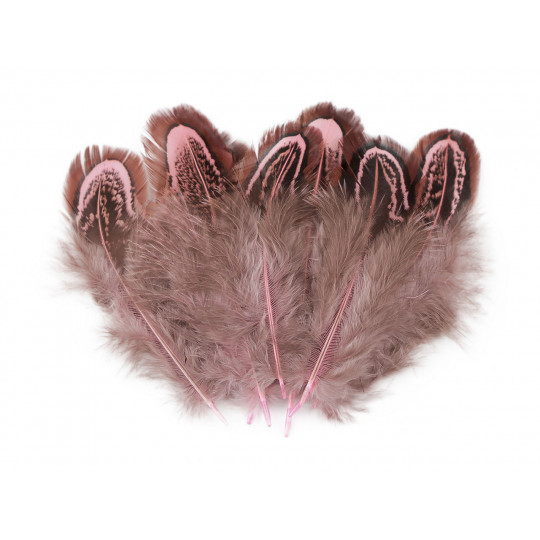 Bažantí peří délka 5-7 cm | Mimib