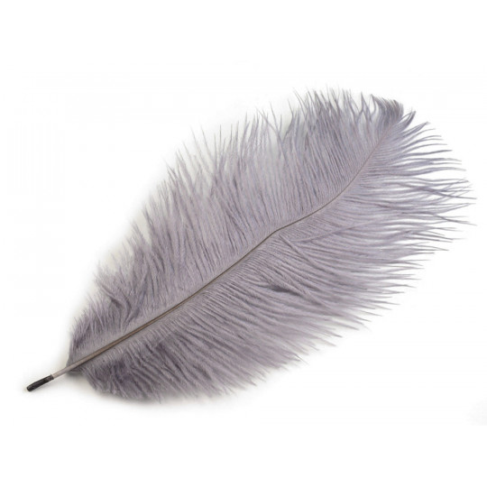 Pštrosí peří délka cca 20-25 cm | Mimib