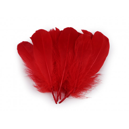 Husí peří délka 14-18 cm - 10 ks | Mimib