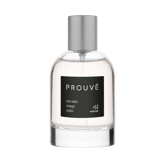 PROUVÉ 14, 50 ml – inspirováno vůní COCO CHANEL - Allure Homme Sport | Mimib