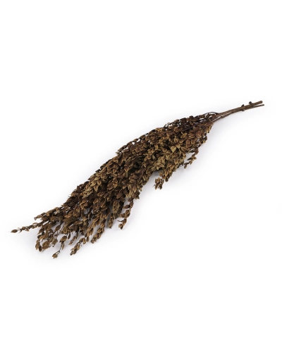 Stabilizovaný olivovník zväzok - 1 zväzok | Mimib