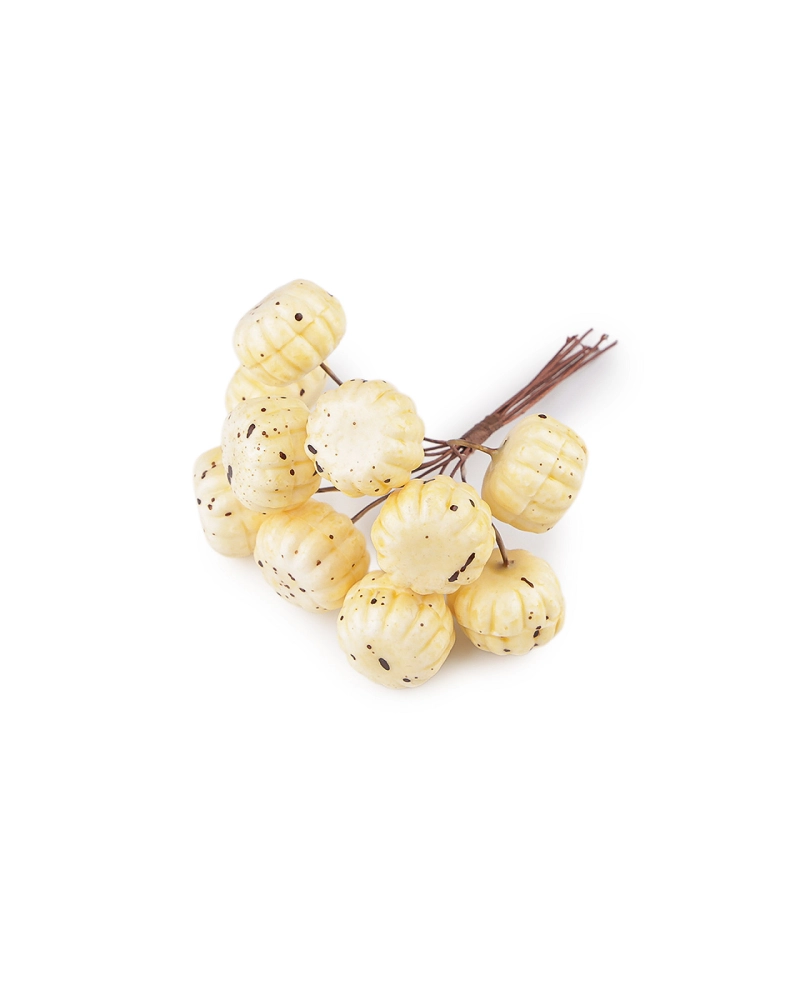 Umelé tekvice na drôtiku - 1 zväzok | Mimib