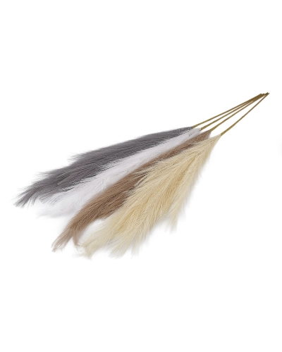 Pampová tráva - 1 ks | Mimib