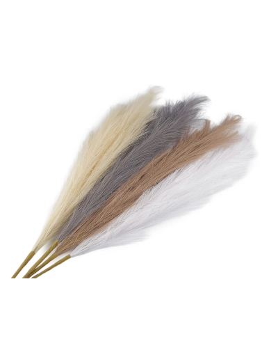 Pampová tráva - 1 ks | Mimib