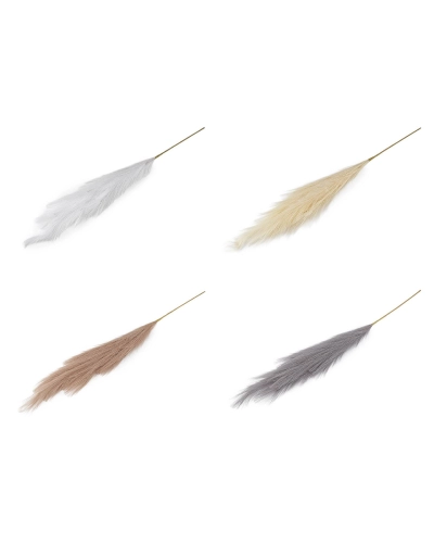 Pampová tráva - 1 ks | Mimib