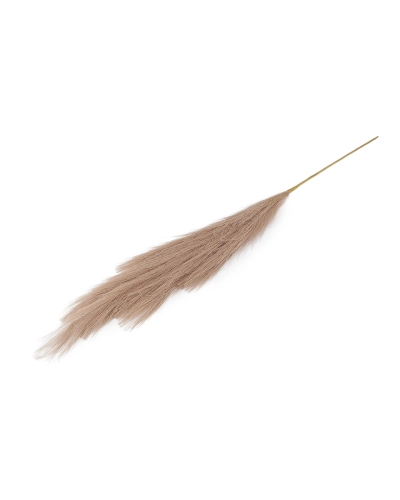 Pampová tráva - 1 ks | Mimib