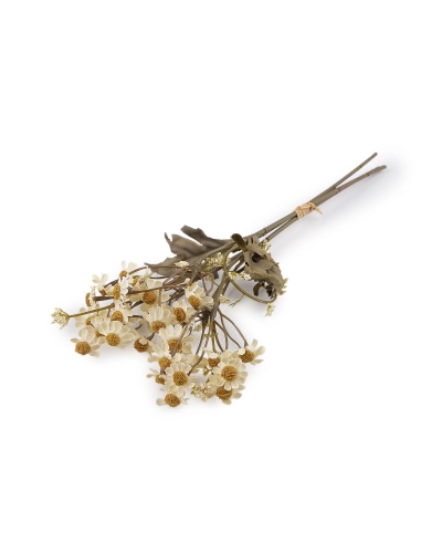 Umelý harmanček - reálny vzhľad - 1 zväzok | Mimib