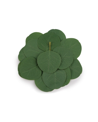 Umelý list eukalyptus na aranžovanie - 20 ks | Mimib