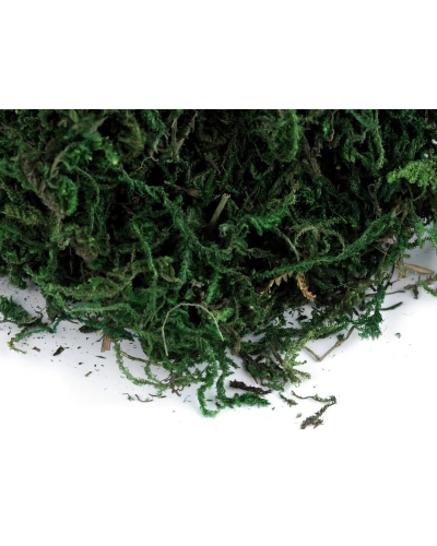 Dekoračný mach 50 g - 1 ks | Mimib