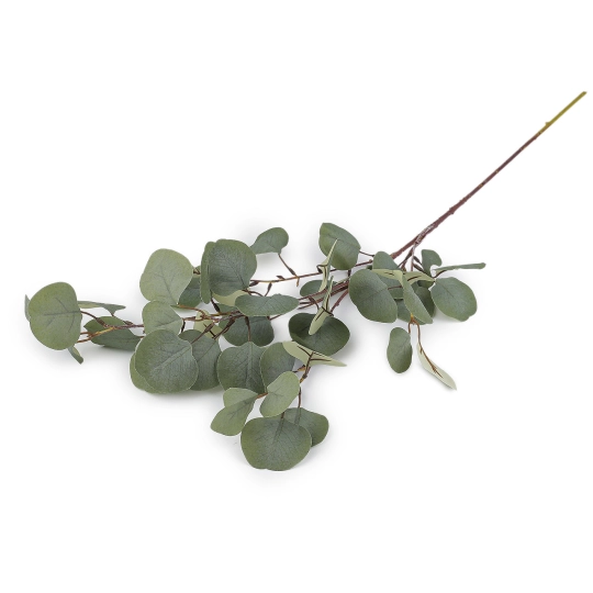 Umelý eukalyptus - 1 zväzok | Mimib