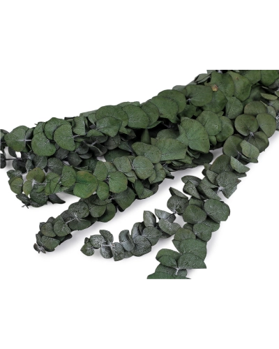 Stabilizovaný eukalyptus zväzok - 1 zväzok | Mimib