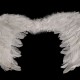 Andělská křídla 35x45 cm 1ks