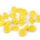 Plastové knoflíky / korálky květ Ø15 mm 20ks