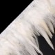 Prýmek - kohoutí peří šíře 12 cm 1m