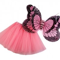 Karnevalový kostým - motýl 1sada