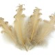 Husí peří kudrnaté délka 12-18 cm4 - 4ks