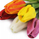 Umělý tulipán 1ks